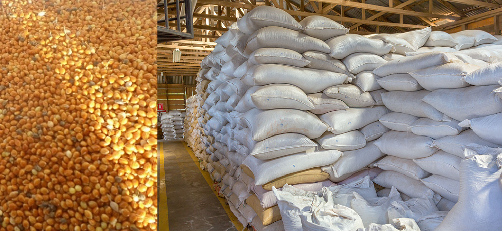 Yellow millet FOB Black sea