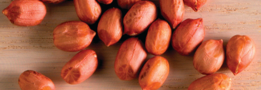 Peanuts FOB Argentina price Peanuts FOB Argentina price