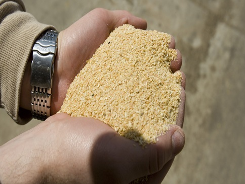 Soybean meal FOB Black sea Soybean meal FOB Black sea