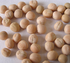 Peas 豌豆 Peas 豌豆