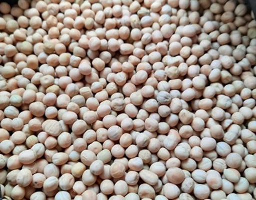 Yellow peas CIF Chennai India