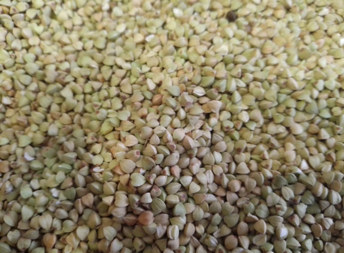 Buckwheat cereals green Nigeria 