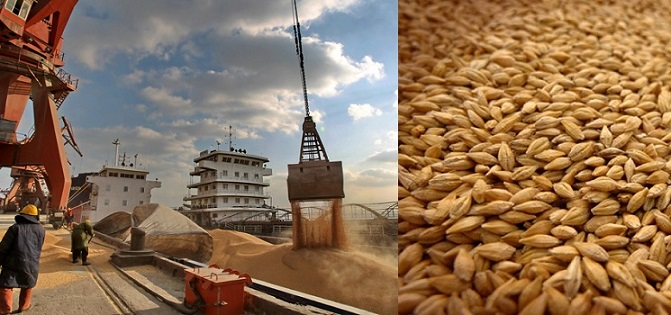 ячмень порт Махачкала