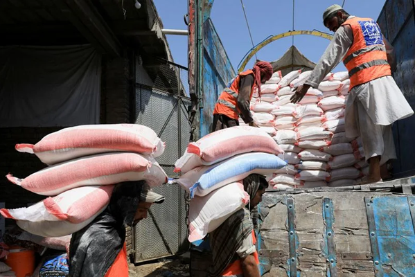 Herat Grain and Food: supply, export, prices. 