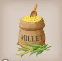 Millet cereals export