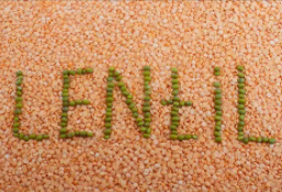 Lentil Russia