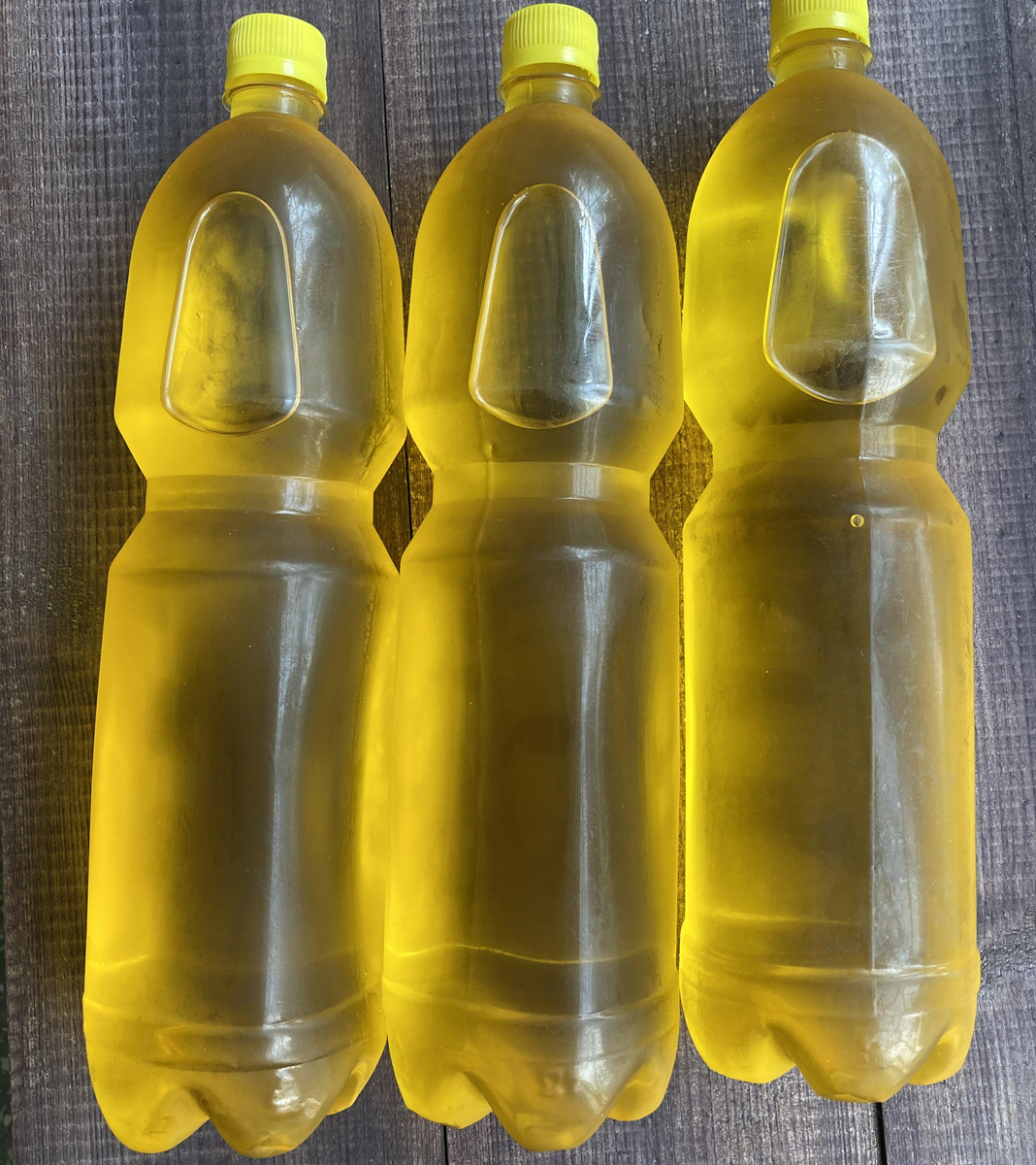 подсолнечное масло на экспорт