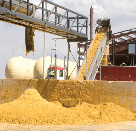Corn DDGS FOB Yiesk Russia