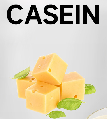 casein for cheese making