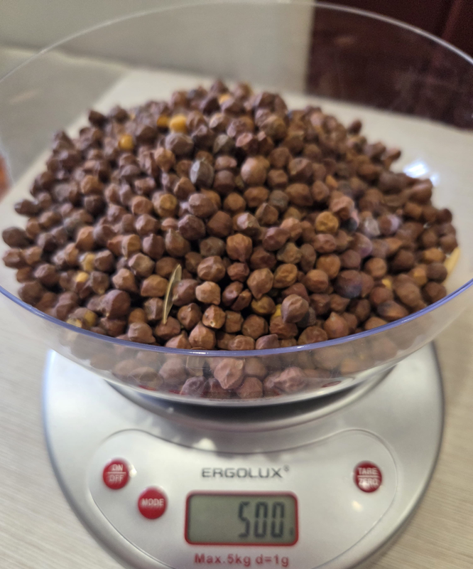 Red chickpeas Russia