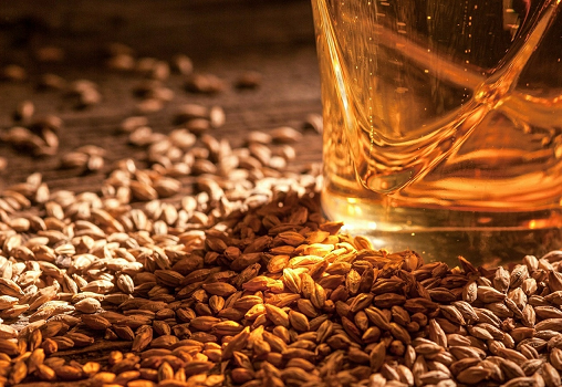 Barley Malting FOB Black sea
