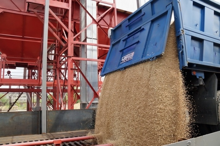 Feed wheat Afghanistan prices