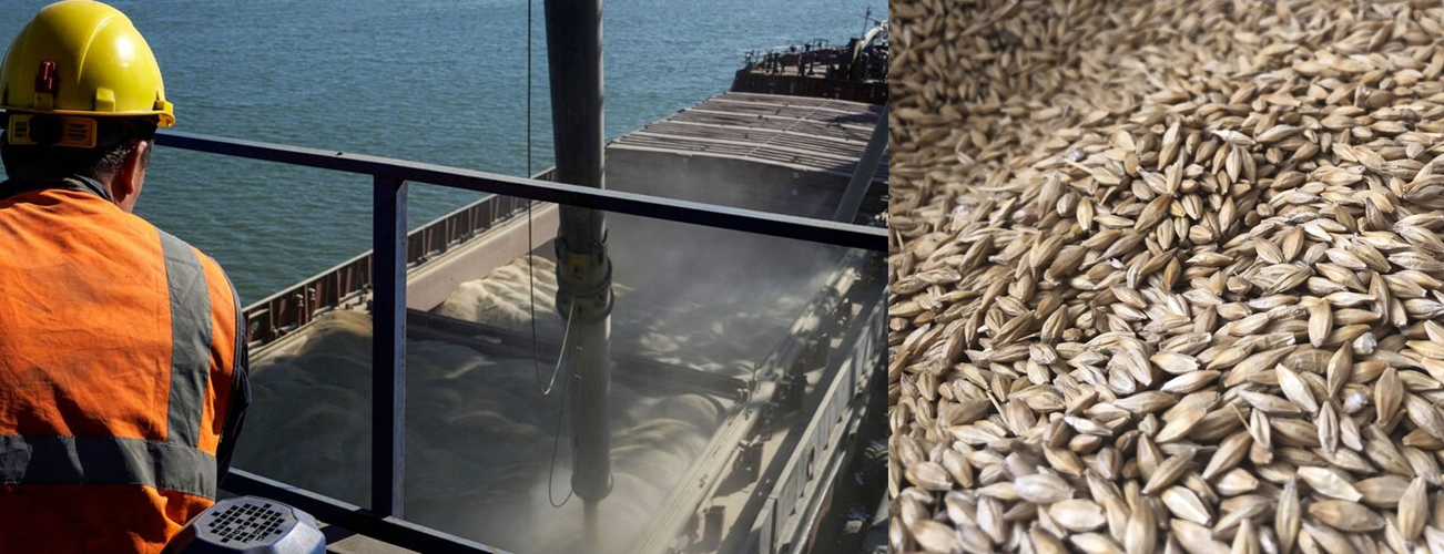 Barley FOB Saint-Petersburg Russia