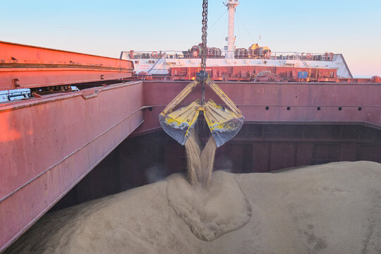 Milling wheat CIF Lome Togo Milling wheat CIF Lome Togo